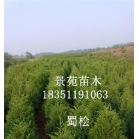 江蘇蜀檜價格