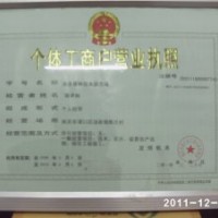 誠信供應【雪松】廣玉蘭 蜀檜 女真 紅葉石楠球等多種綠化苗木