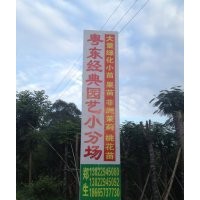 大量木芙蓉，胭脂木，山扁豆、雞冠刺桐、桃花心木、鳳凰木