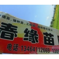丁香連翹衛矛錦帶紅瑞木地錦愁李紅葉李