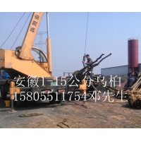 安徽肥西供應2-3-4-5-6-8-10公分全冠烏桕，截桿烏桕，烏桕小苗價