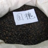 供應(yīng)國槐，北欒，五角楓，南欒，絲綿木，清風(fēng)等等