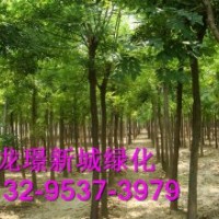 土球發冒白蠟與全冠白蠟銷售