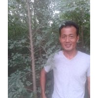 山東3公分榆樹價格，4公分榆樹價格，5公分榆樹價格
