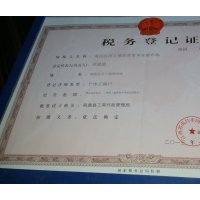 當年籽播池杉小苗