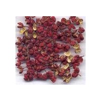 大紅袍花椒苗 帶刺皂角苗 文冠苗產地 農大鈣果苗
