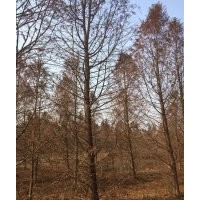 我國東部海岸線縱長，灘涂遼闊，水網交錯，生態環境的恢復和建設
