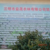 三明地區現供應大量各類綠化苗木