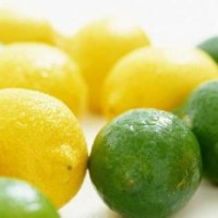 供應酸桔樹苗 香橙苗 檸檬樹苗 酸柑樹苗 酸柚樹苗 酸橙苗 紫薇樹