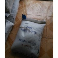 白三葉大量出售，現貨價低