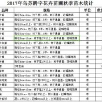 供應金葉榆 大葉榆 裂葉榆 小葉白蠟 復葉槭 黃金樹 王族海棠 紫