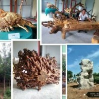 供白玉蘭、紅玉蘭、國(guó)槐、流蘇等