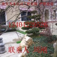 蘇州別墅庭院苗木批發、綠化苗木種植基地、庭院景觀造型樹木