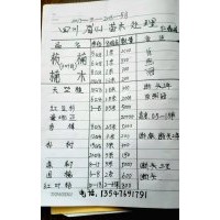 供應珍貴名木金絲楠木，楨楠，紅豆杉，曼地亞，香樟，樸樹，皂皂
