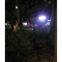 專業的挖樹隊伍，挖樹速度快、保證質量