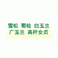 供應2.5米蜀檜30000棵25裝車江蘇南京