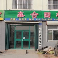 山東李靈寶專供鹽松，金葉白蠟，高桿速生白蠟