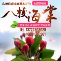 八棱海棠樹價格