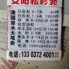白皮松，油松造型松