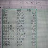 雞爪槭，紫薇，紅葉李